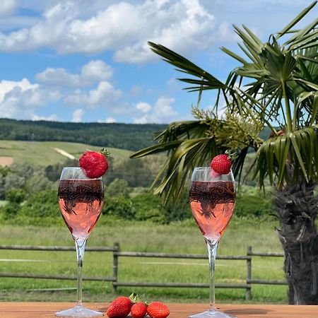 Domaine-De-La-Borde A Epernay Bed & Breakfast Mardeuil Ngoại thất bức ảnh